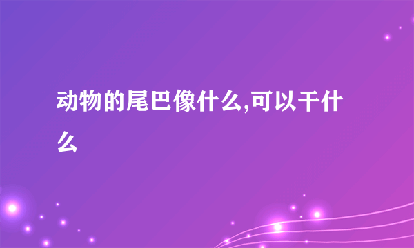 动物的尾巴像什么,可以干什么