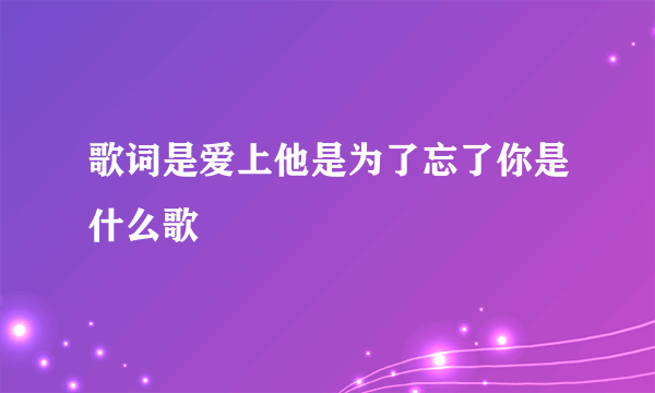 歌词是爱上他是为了忘了你是什么歌