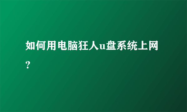 如何用电脑狂人u盘系统上网？