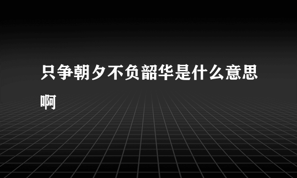 只争朝夕不负韶华是什么意思啊