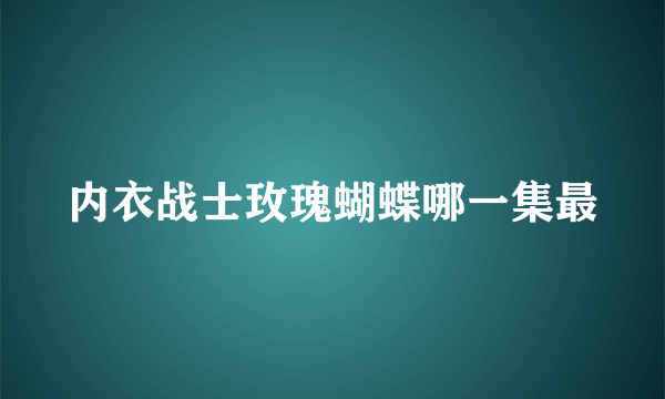 内衣战士玫瑰蝴蝶哪一集最