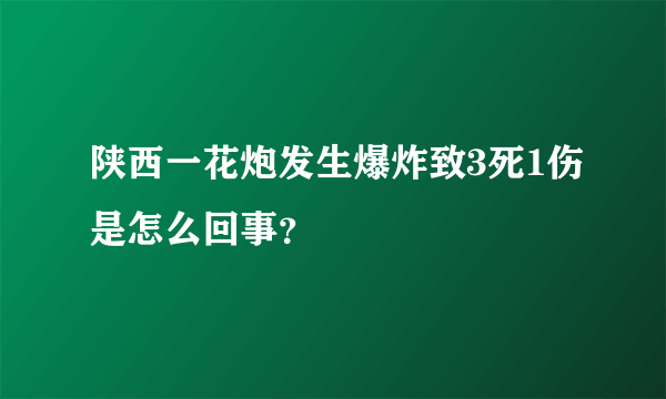 陕西一花炮发生爆炸致3死1伤是怎么回事？
