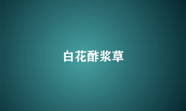 白花酢浆草