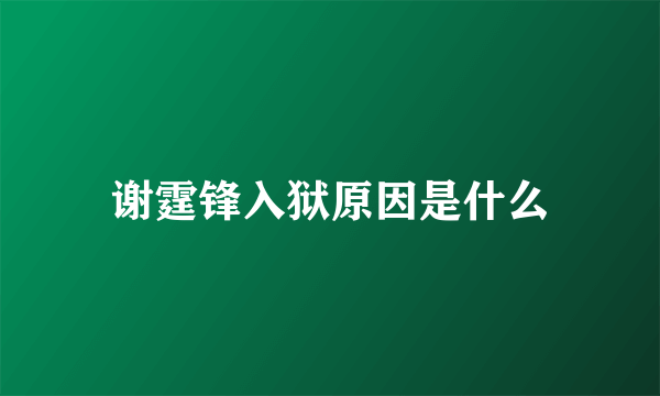 谢霆锋入狱原因是什么