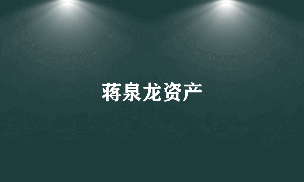 蒋泉龙资产