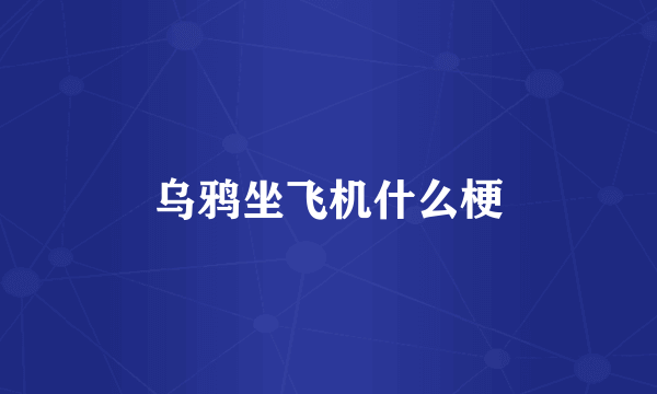 乌鸦坐飞机什么梗