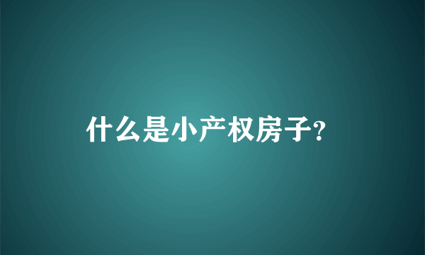 什么是小产权房子？