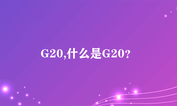 G20,什么是G20？
