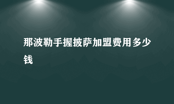 那波勒手握披萨加盟费用多少钱