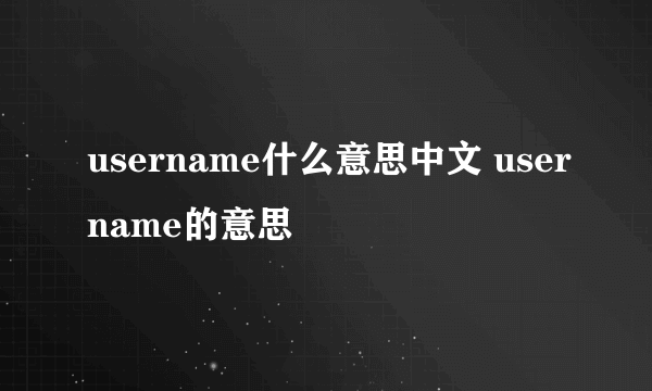username什么意思中文 username的意思
