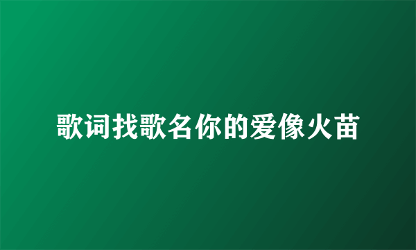 歌词找歌名你的爱像火苗