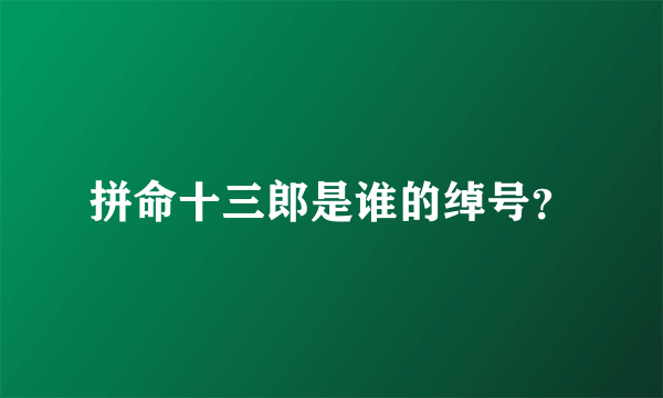 拼命十三郎是谁的绰号？