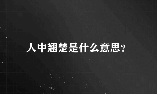 人中翘楚是什么意思？