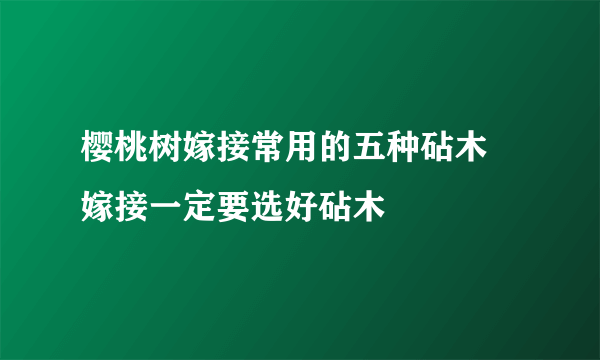 樱桃树嫁接常用的五种砧木 嫁接一定要选好砧木
