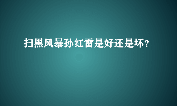 扫黑风暴孙红雷是好还是坏？
