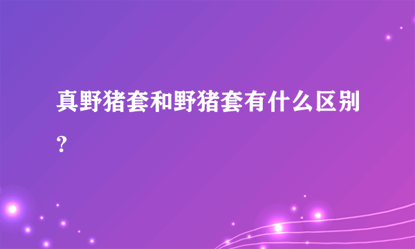 真野猪套和野猪套有什么区别？