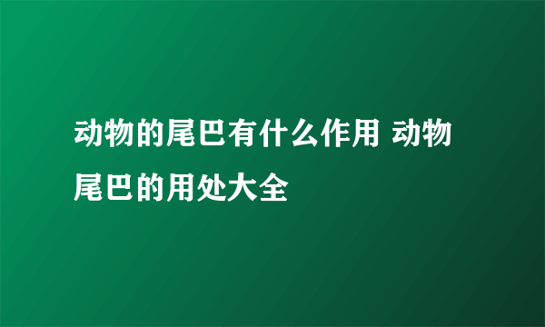 动物的尾巴有什么作用 动物尾巴的用处大全