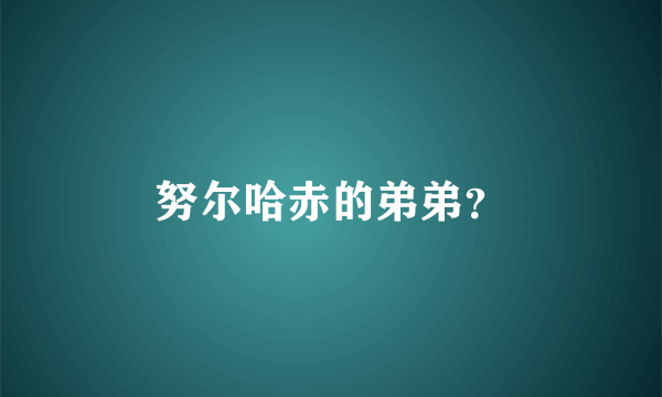 努尔哈赤的弟弟？