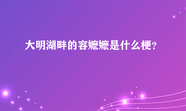 大明湖畔的容嬷嬷是什么梗？