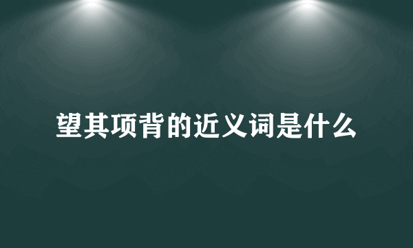 望其项背的近义词是什么