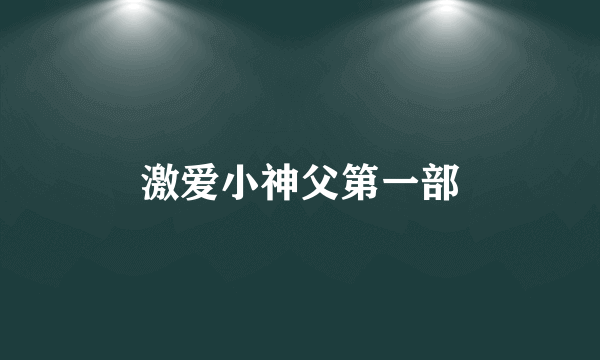 激爱小神父第一部