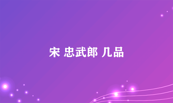 宋 忠武郎 几品
