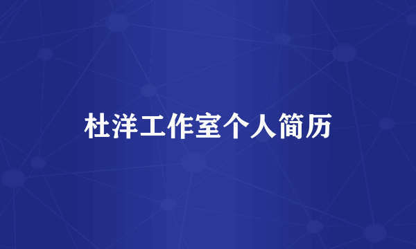 杜洋工作室个人简历