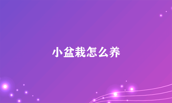小盆栽怎么养