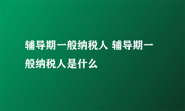 辅导期一般纳税人 辅导期一般纳税人是什么