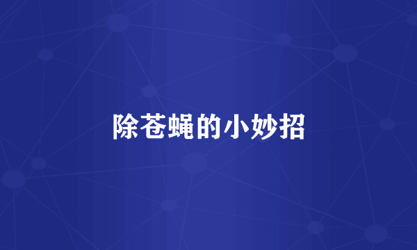 除苍蝇的小妙招