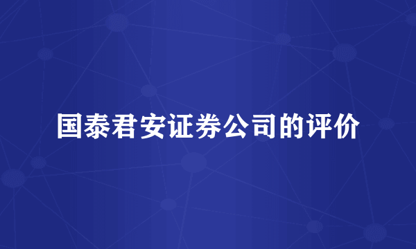 国泰君安证券公司的评价