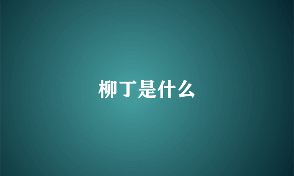 柳丁是什么