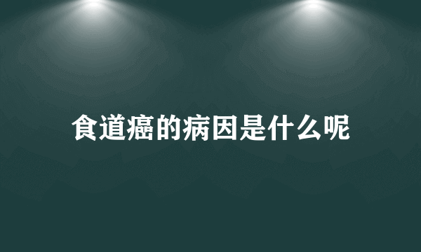 食道癌的病因是什么呢