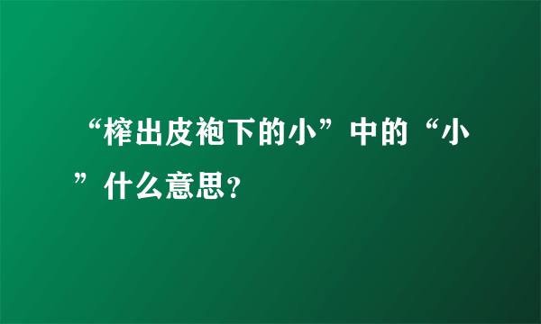 “榨出皮袍下的小”中的“小”什么意思？