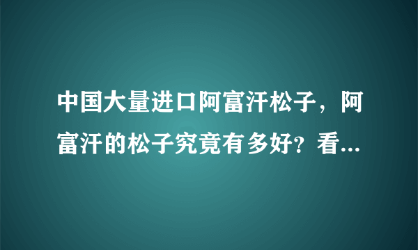 中国大量进口阿富汗松子，阿富汗的松子究竟有多好？看了就会明白