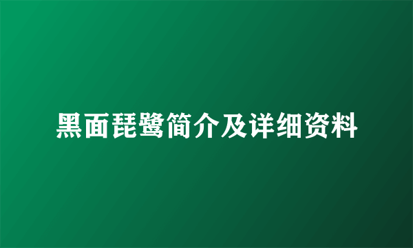 黑面琵鹭简介及详细资料