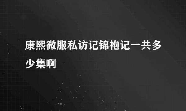 康熙微服私访记锦袍记一共多少集啊