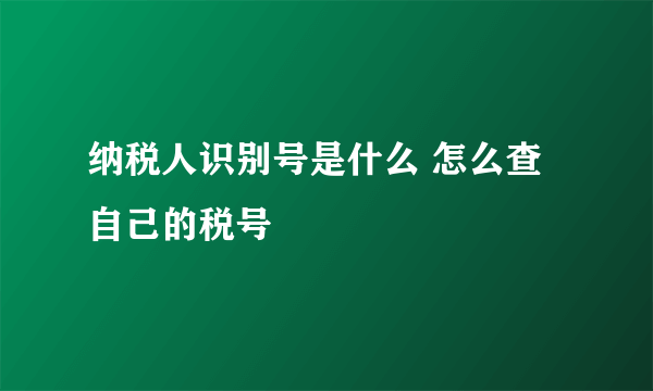 纳税人识别号是什么 怎么查自己的税号