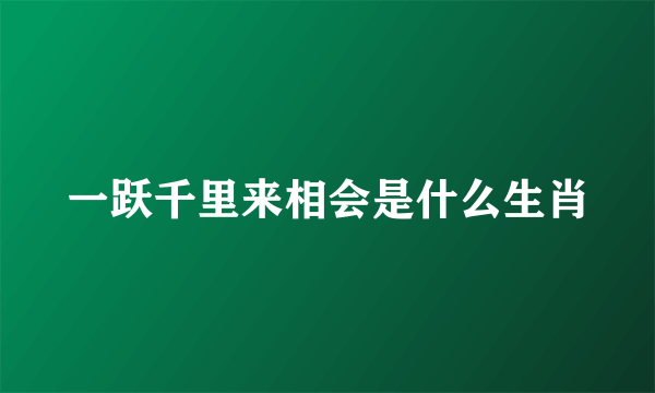 一跃千里来相会是什么生肖