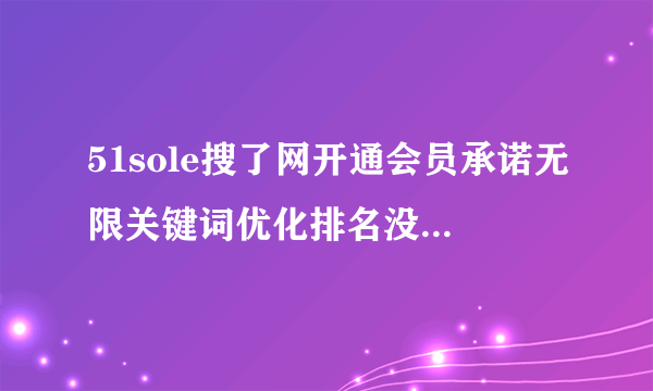 51sole搜了网开通会员承诺无限关键词优化排名没效果怎么投诉?