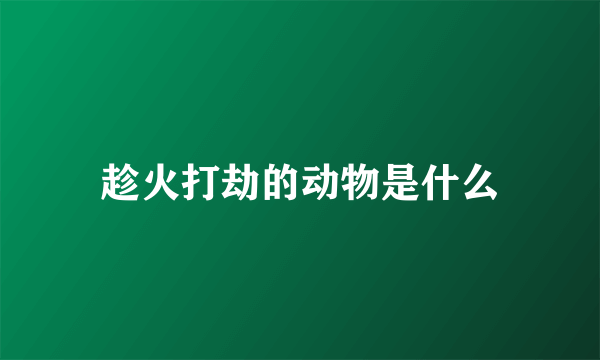 趁火打劫的动物是什么