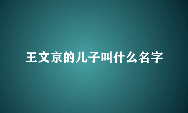 王文京的儿子叫什么名字