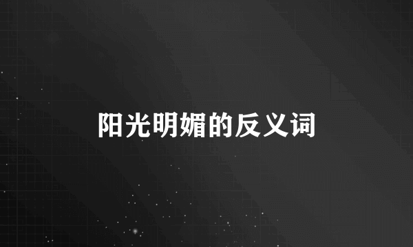 阳光明媚的反义词