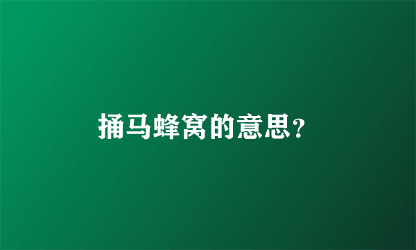 捅马蜂窝的意思？