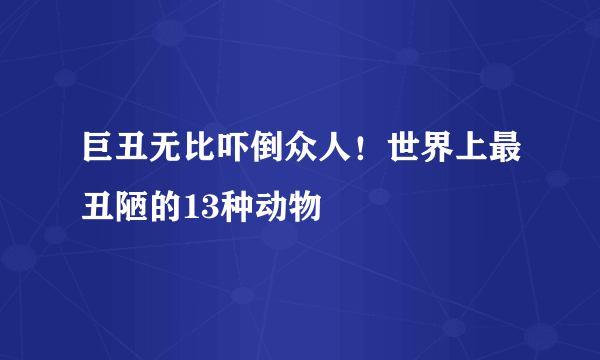 巨丑无比吓倒众人！世界上最丑陋的13种动物