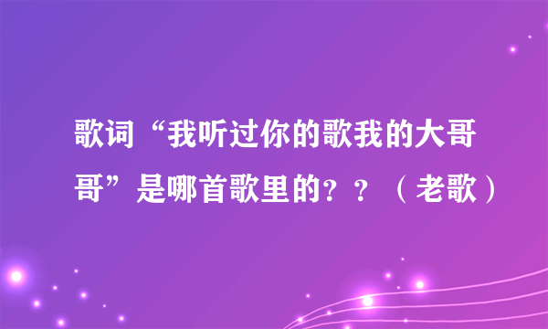 歌词“我听过你的歌我的大哥哥”是哪首歌里的？？（老歌）