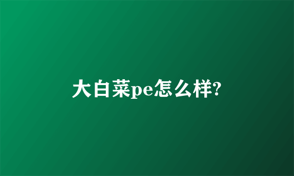 大白菜pe怎么样?