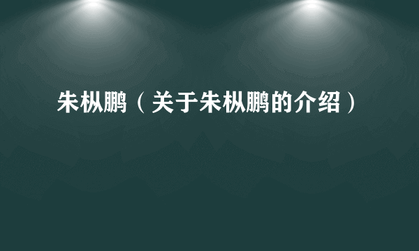 朱枞鹏（关于朱枞鹏的介绍）