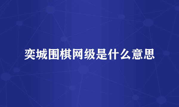 奕城围棋网级是什么意思