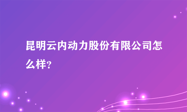 昆明云内动力股份有限公司怎么样？